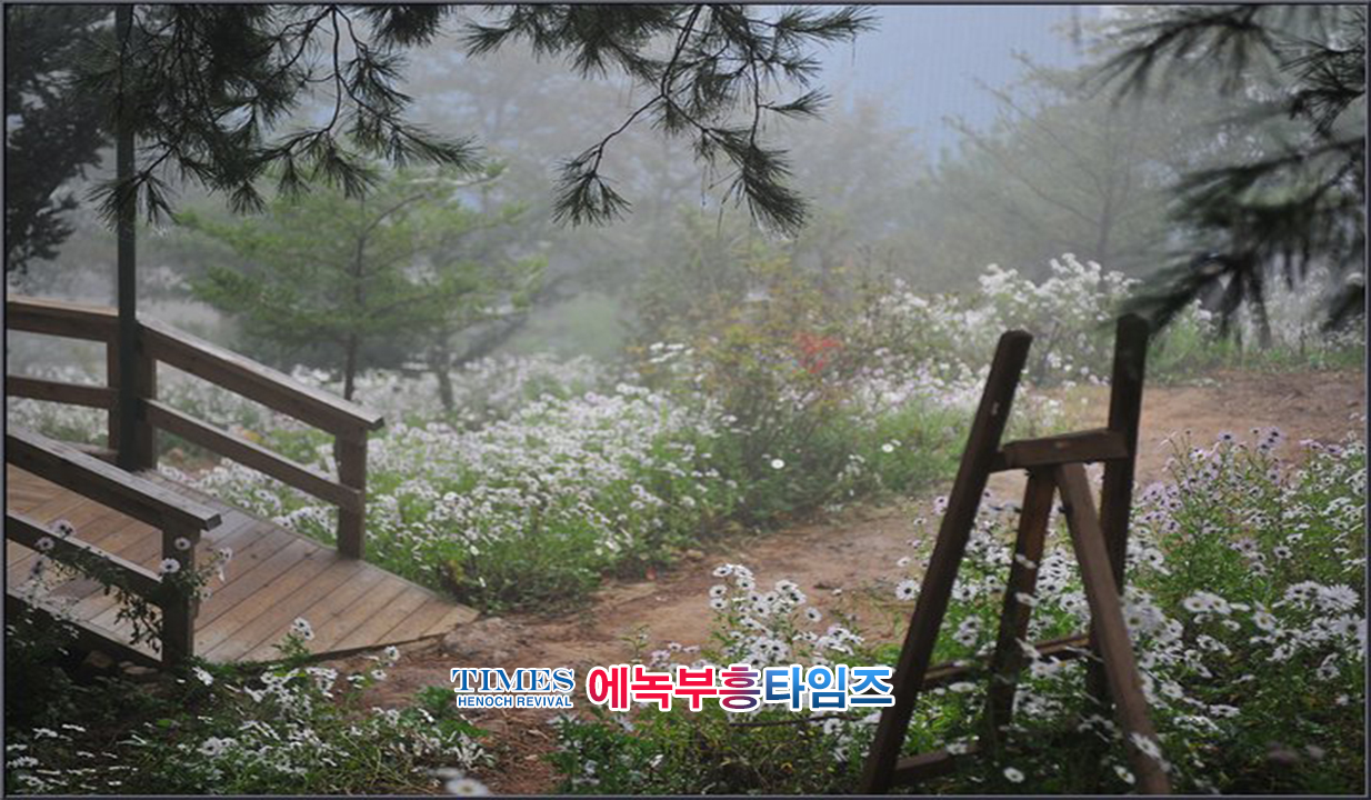 사진작가 서명범 목사의 사진으로 보는 창조의 세계- 구절초