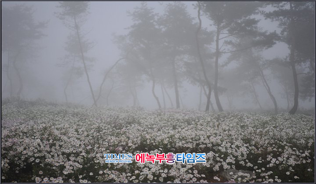 사진작가 서명범 목사의 사진으로 보는 창조의 세계- 구절초