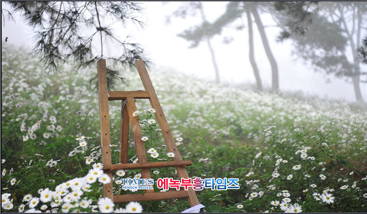 사진작가 서명범 목사의 사진으로 보는 창조의 세계- 구절초