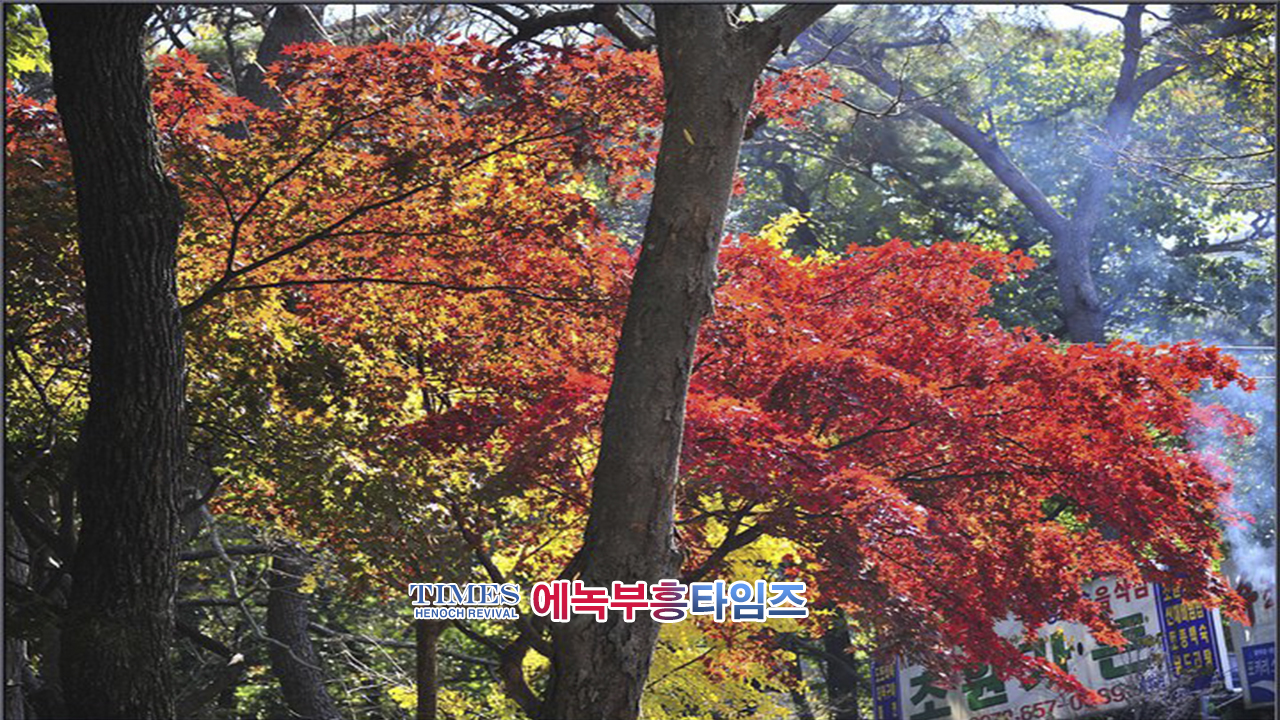 사진작가 서명범 목사의 사진으로 보는 창조의 세계- 가을 풍경