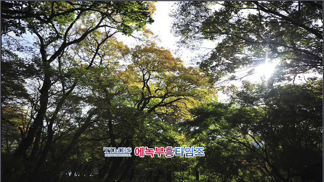 사진작가 서명범 목사의 사진으로 보는 창조의 세계- 가을 풍경