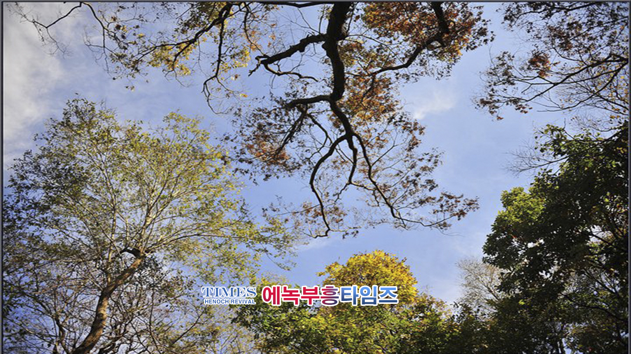 사진작가 서명범 목사의 사진으로 보는 창조의 세계- 가을 풍경