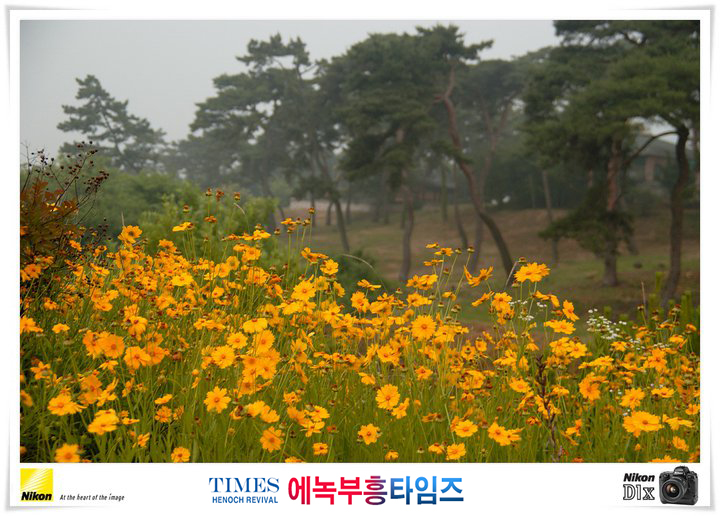 사진작가 서명범 목사의 사진으로 보는 창조의 세계- 여러가지 꽃들 접사 촬영(4)