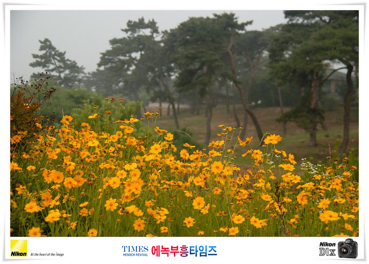 사진작가 서명범 목사의 사진으로 보는 창조의 세계- 여러가지 꽃들 접사 촬영(3)
