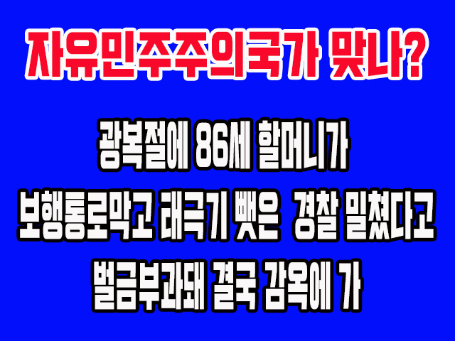 광복절에 보행로를 막은 경찰을 86세 할머니가 밀쳤다고 고발해 결국 감옥에 가.