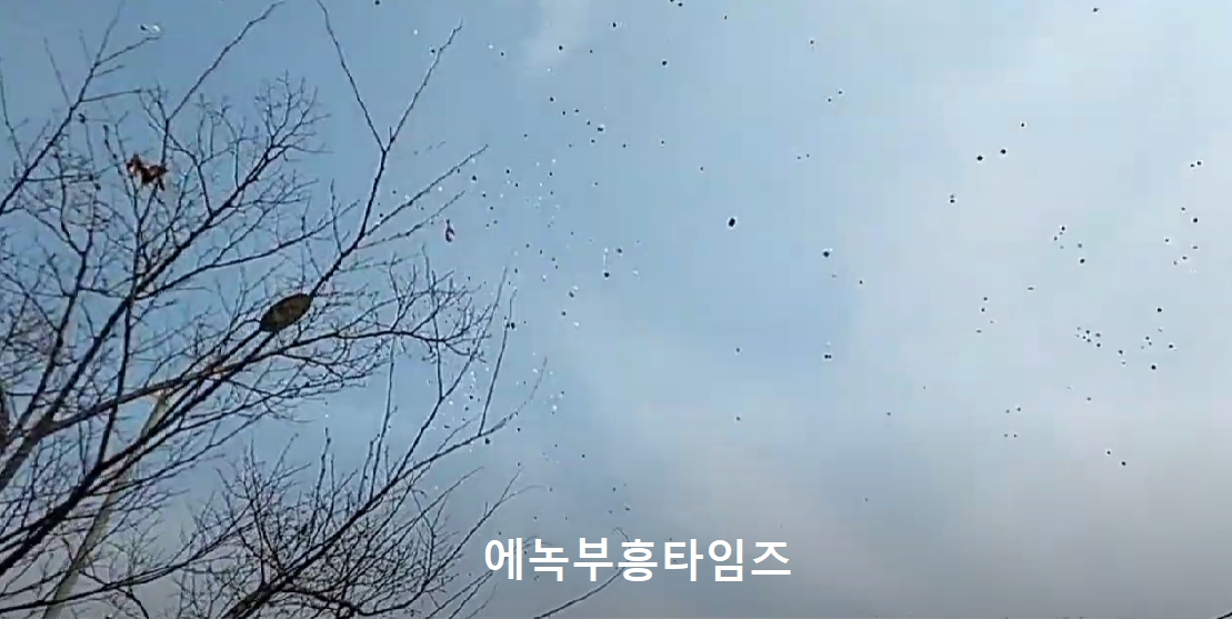 박근혜 전대통령 귀향에 전국에서 온 엄청난 환영인파 몰려와 축하해줘.