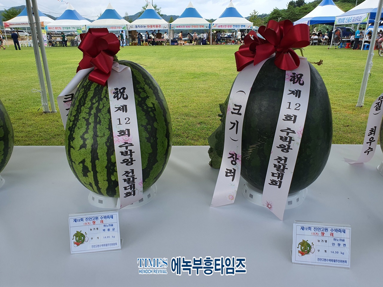 진안고원 수박축제가 3년 만에 열려.