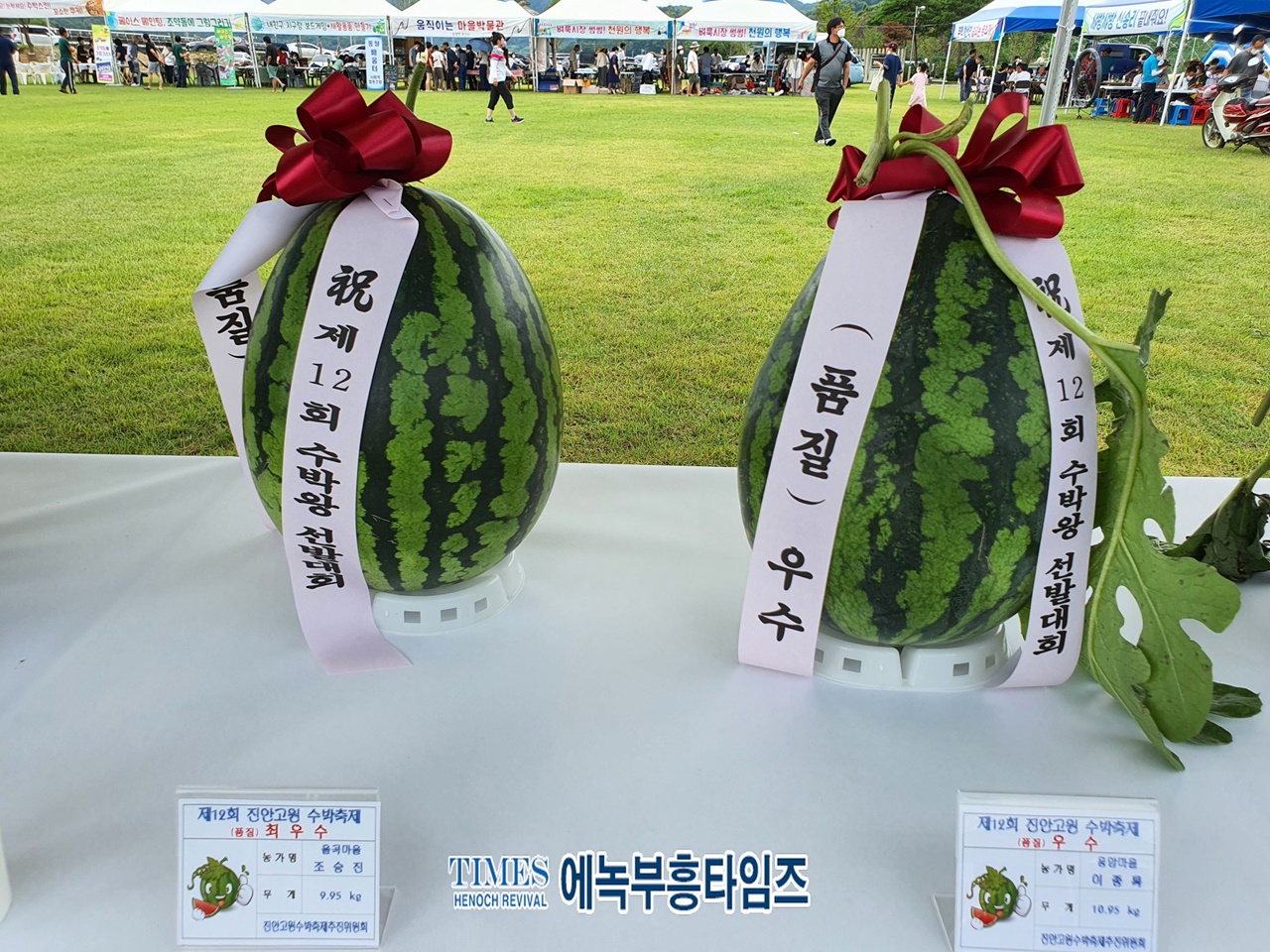 진안고원 수박축제가 3년 만에 열려.
