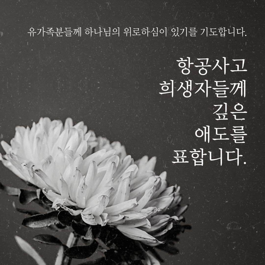 무안국제공항 항공사고 희생자들을 추모합니다.
