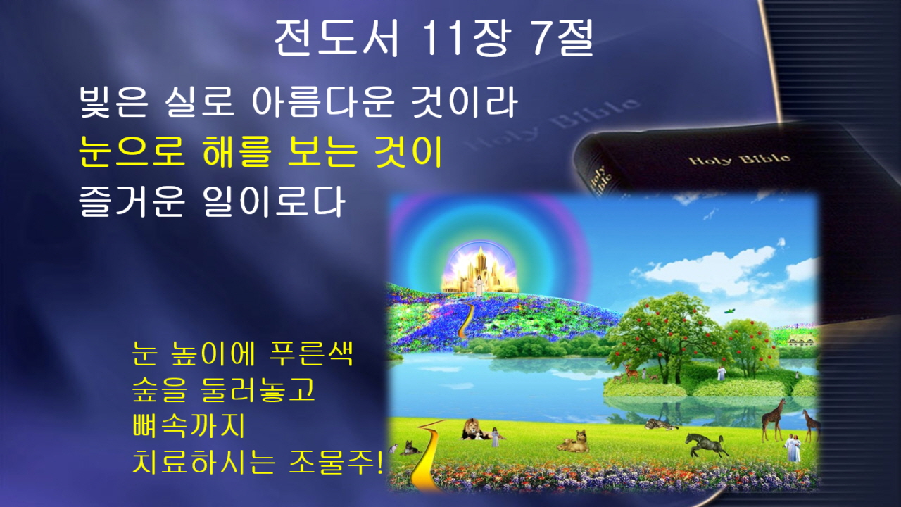 백상진 박사 건강 칼럼- 햇빛의 놀라운 질병 치료력(1)