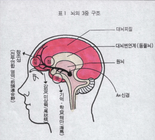 [기획 인터뷰] 현대병, ‘증상’이 아닌 ‘근본’을 치료하라: 백상진 박사가 제시하는 삼중 구조 치유법